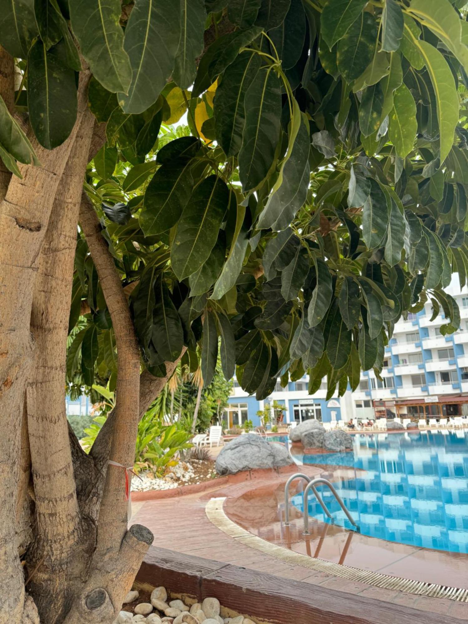 Island Paradise At Green Park Сан Мигель Экстерьер фото